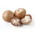 Areca Nut